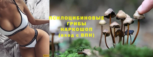 гидра Верея