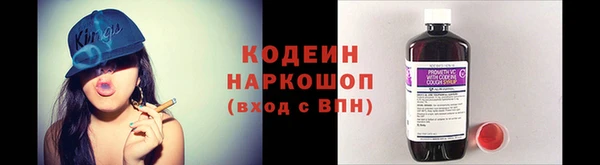 гидра Верея