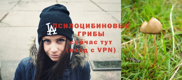 дурь Верхнеуральск