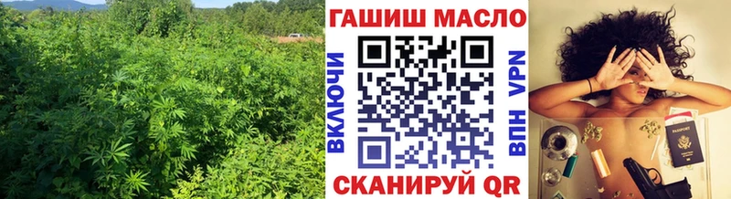 Дистиллят ТГК концентрат Кизел