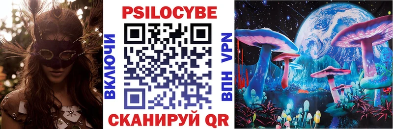продажа наркотиков  Кизел  Галлюциногенные грибы Psilocybe 